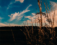 在线DDOS攻击平台